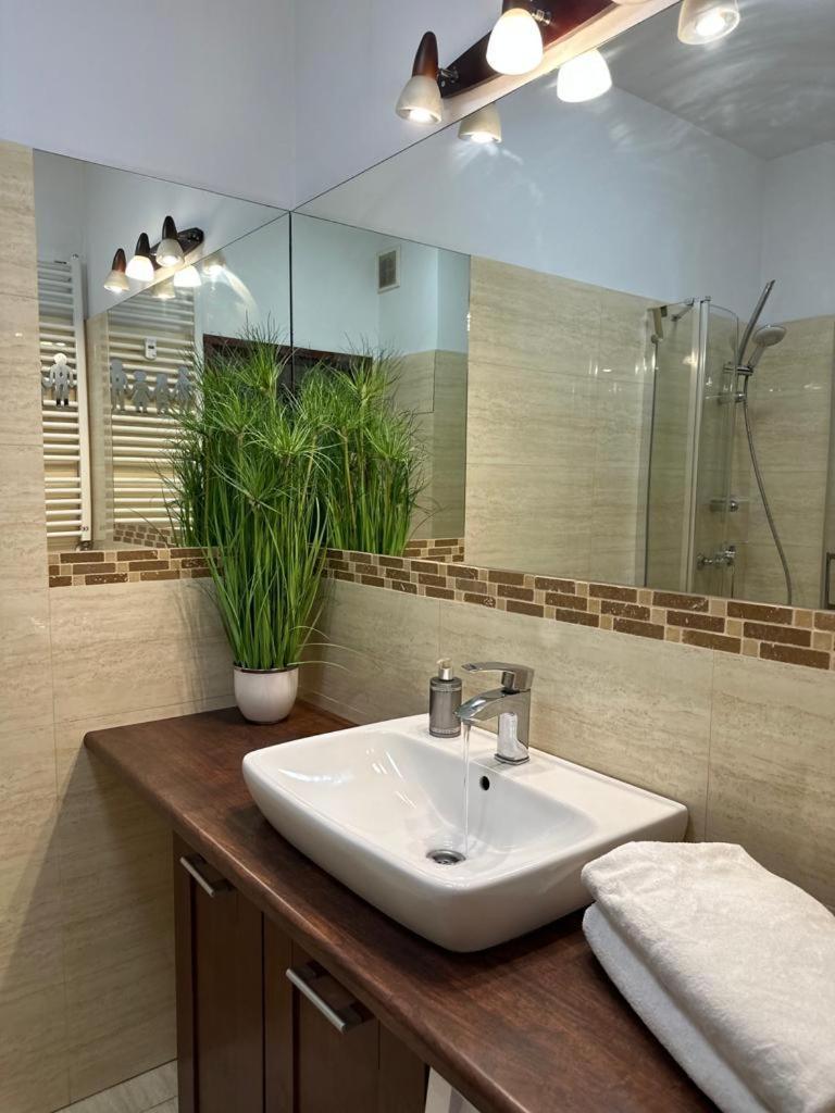 Apartament Przy Rynku Poznan Luaran gambar