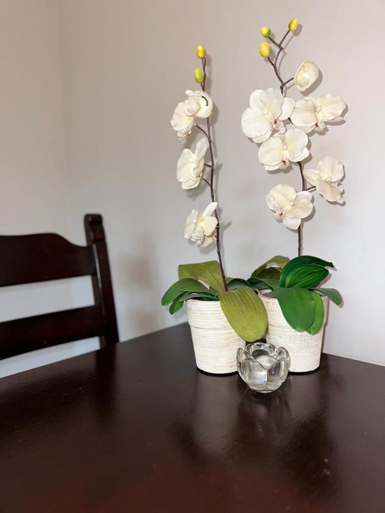 Apartament Przy Rynku Poznan Luaran gambar